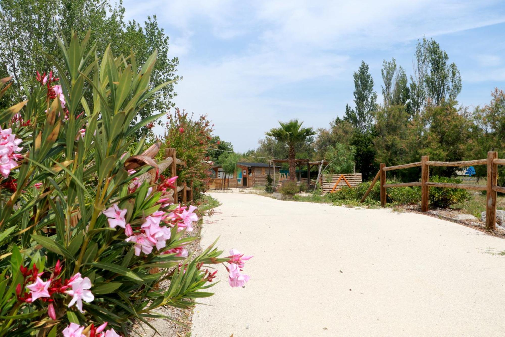 Sandilou Lespetitsbonheurs 2 Chambres Climatise Tv Sigean Exterior foto