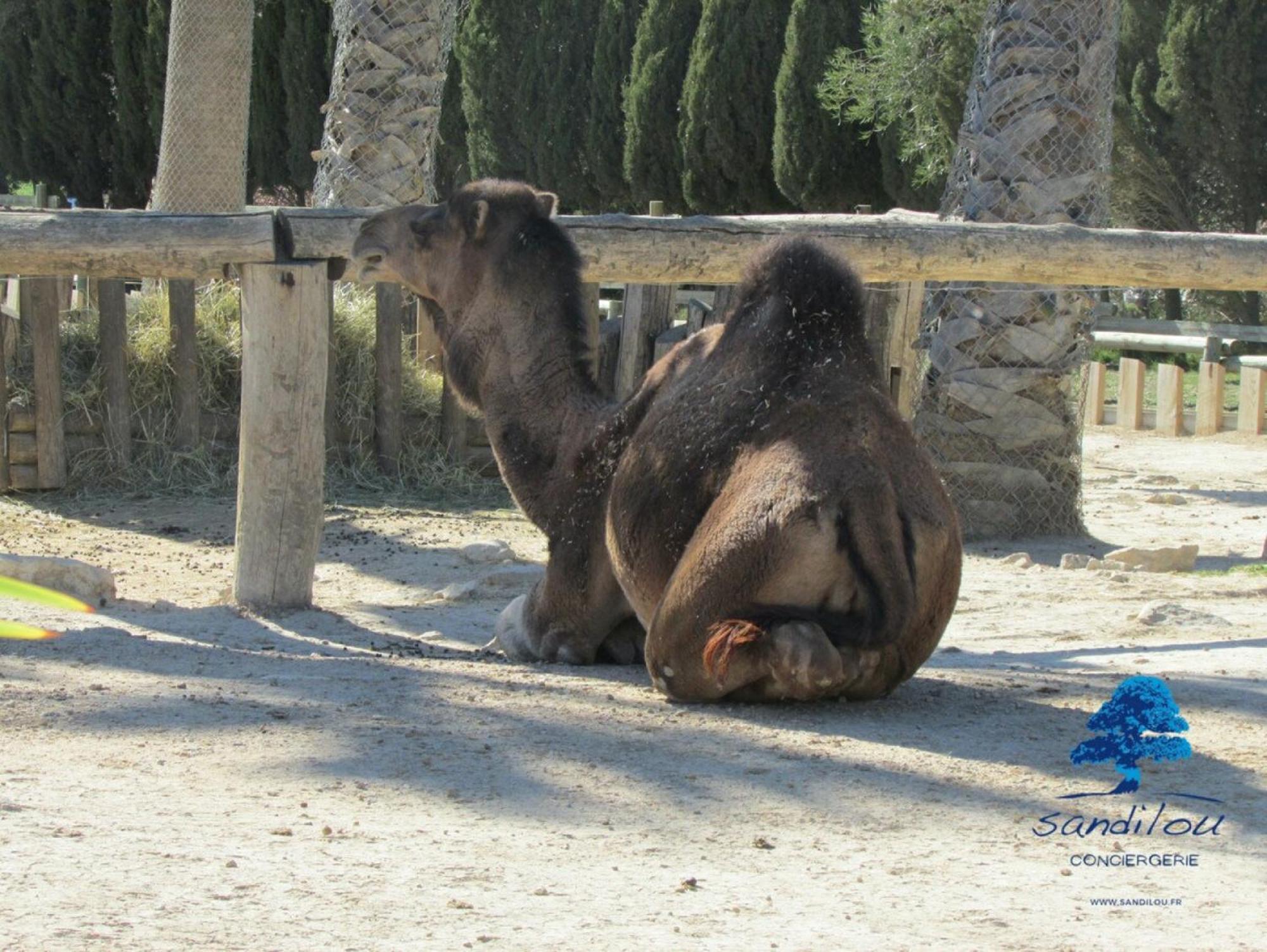 Sandilou Lespetitsbonheurs 2 Chambres Climatise Tv Sigean Exterior foto